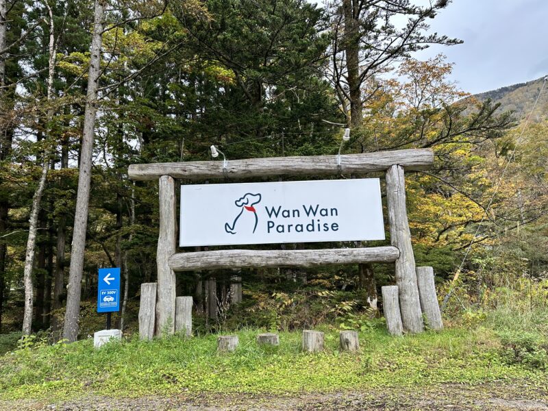 国道沿いに立つ「わんわんパラダイス」の看板