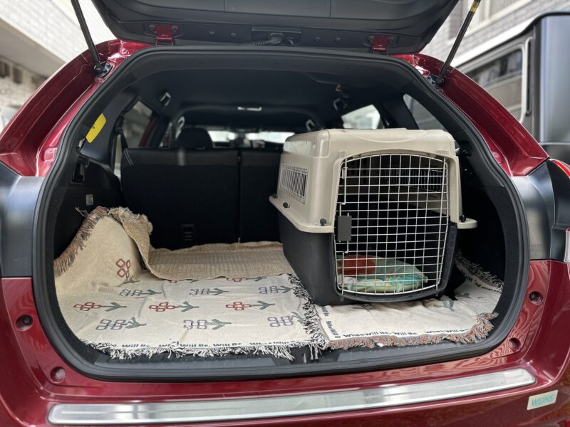 ラゲッジルームの床に敷かれたクロスとクレート