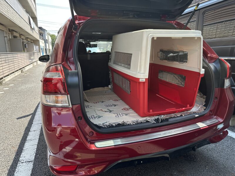 ラゲッジルームにエアトラベルキャリーL