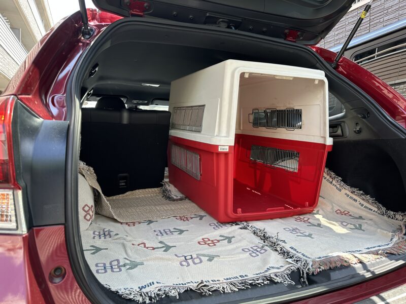 ラゲッジルームに置かれたクレート
