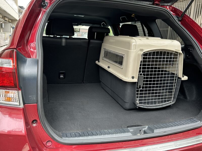 カローラフィールダーにウルトラバリケンネルMを乗せた状態