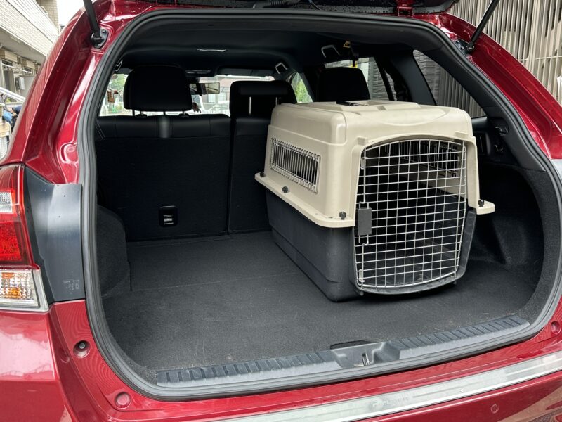 ラゲッジルームに置かれたクレート