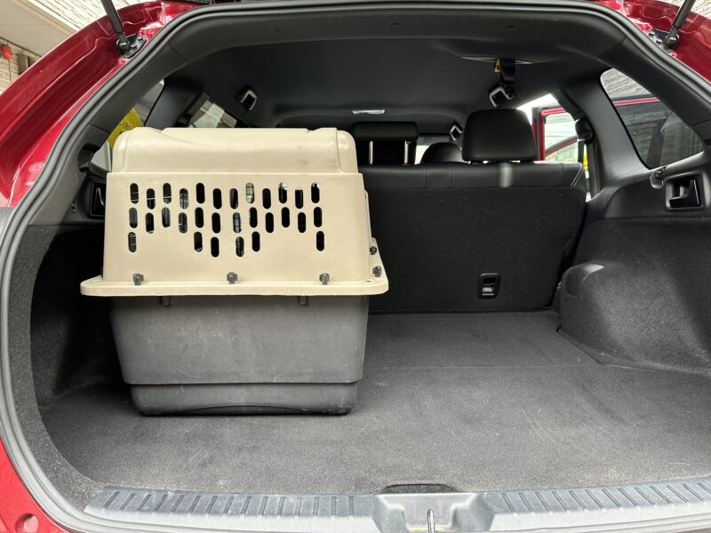 ラゲッジルームに置かれたクレート