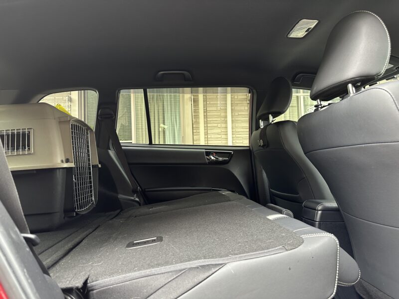 後部席背もたれを倒し横から見た状態