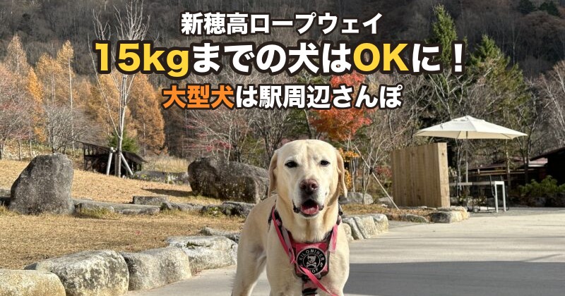 新穂高ロープウェイ 15kgまでの犬はOKに！ 大型犬は駅周辺さんぽ｜しらかば平駅前のラブラドール桃