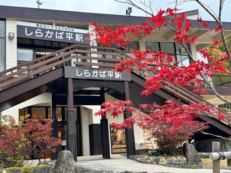 しらかば平駅の駅舎と真っ赤なもみじ（2026年10月）